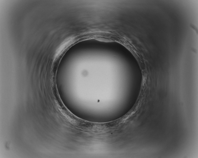 X0000100380101200806271343