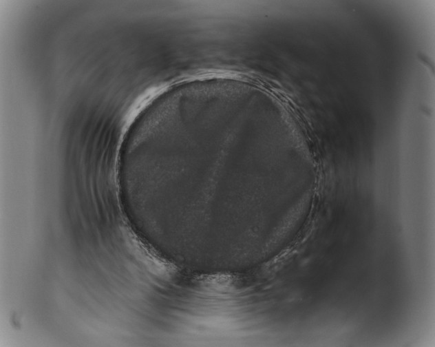 X0000100380104200806271343