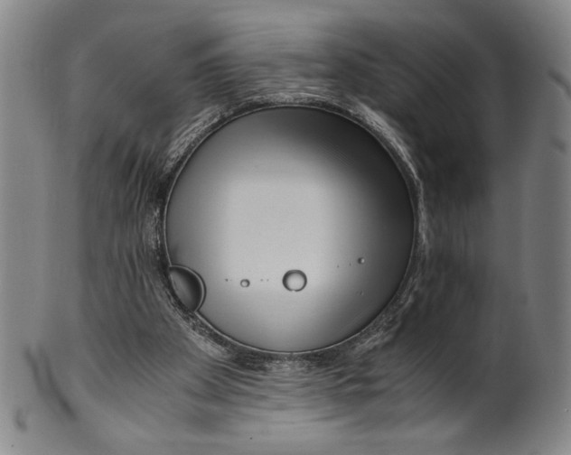 X0000100380105200806271343