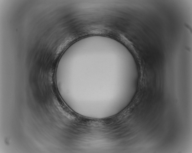 X0000100380106200806271343