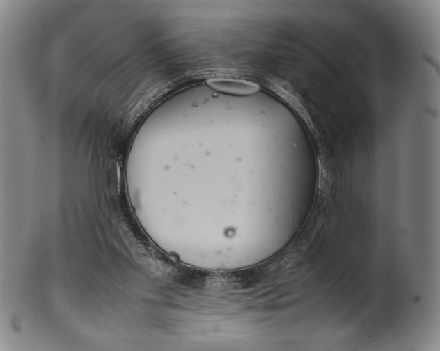 X0000100380109200806271343