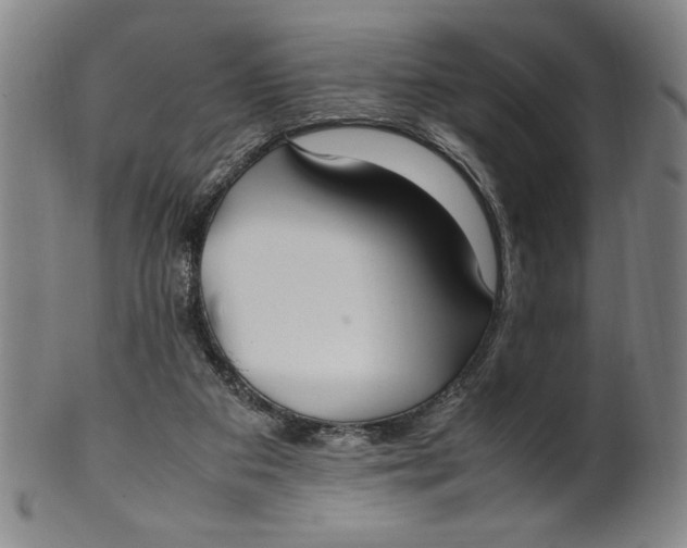 X0000100380113200806271343