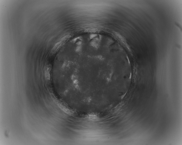 X0000100380114200806271343