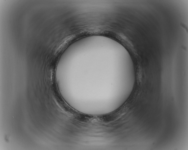 X0000100380115200806271343