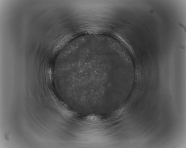 X0000100380117200806271343