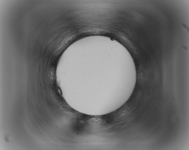X0000100380119200806271343