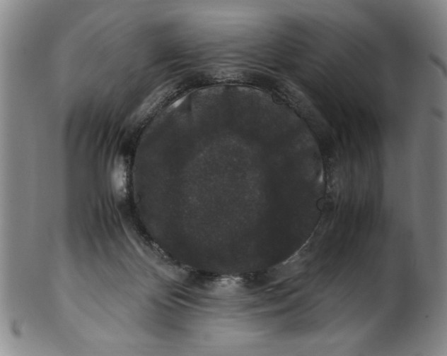 X0000100380124200806271343