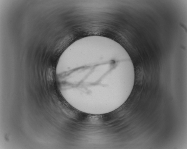 X0000100380126200806271343