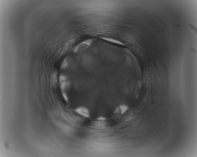 X0000100380127200806271343