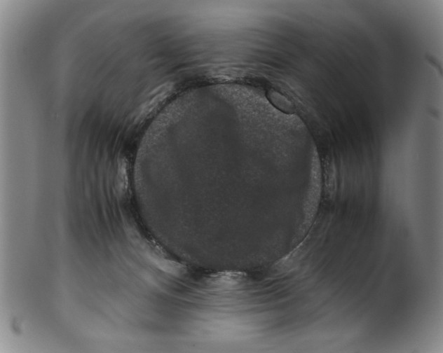 X0000100380128200806271343