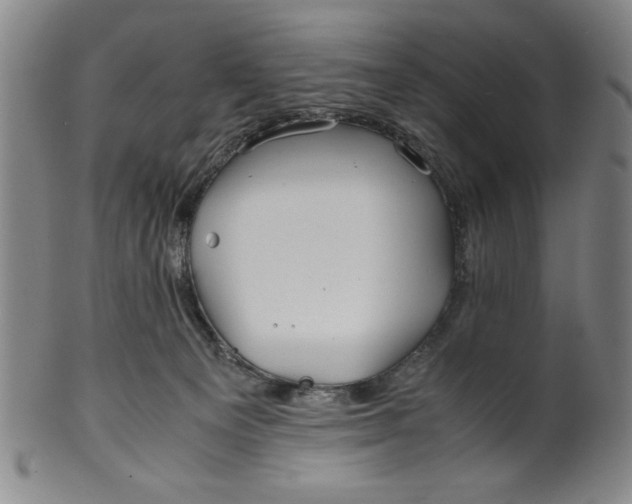 X0000100380129200806271343