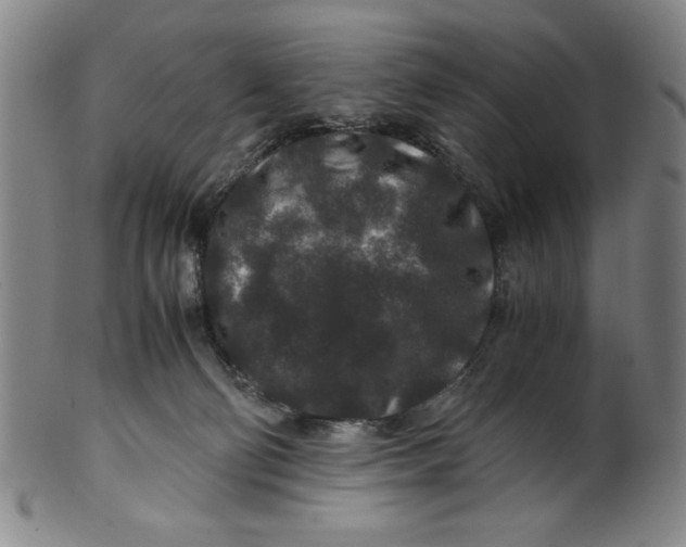 X0000100380130200806271343