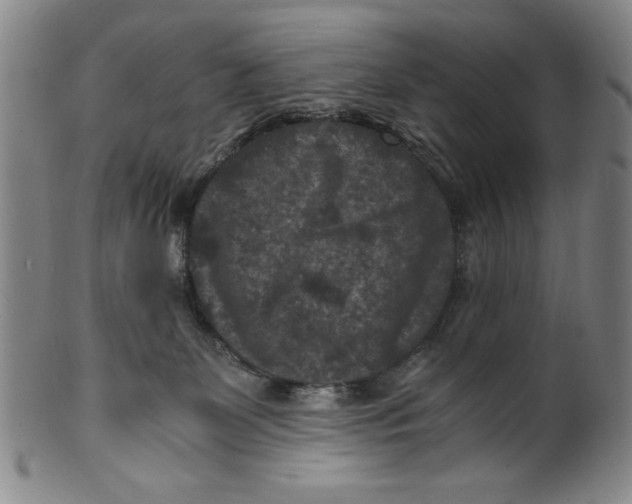 X0000100380131200806271343