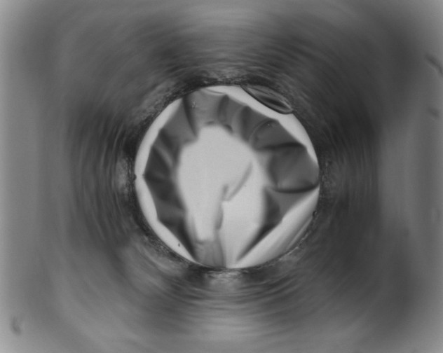 X0000100380132200806271343