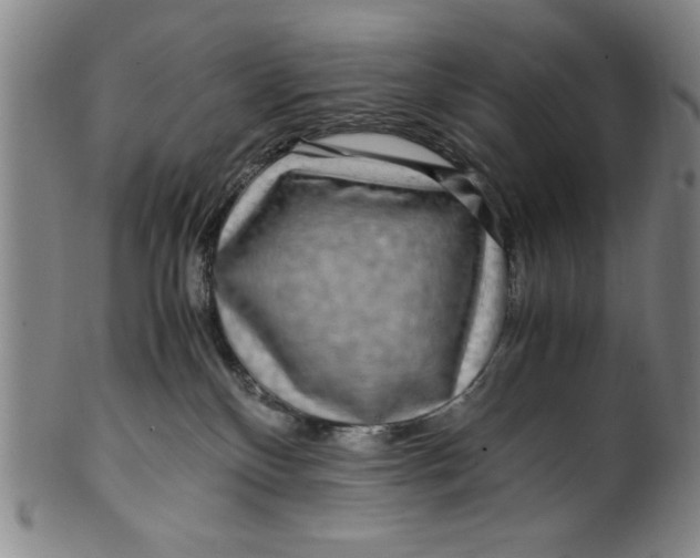 X0000100380136200806271343
