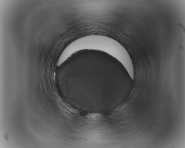 X0000100380137200806271343