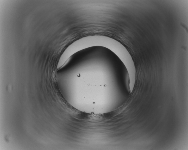 X0000100380141200806271343