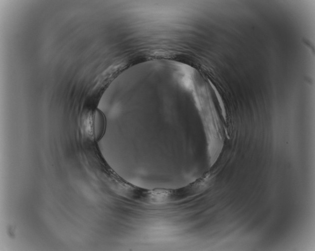 X0000100380143200806271343