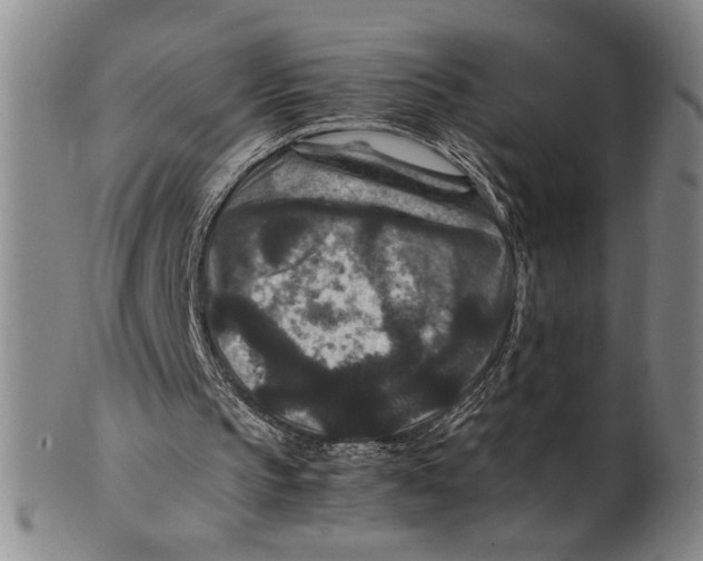 X0000100380145200806271342