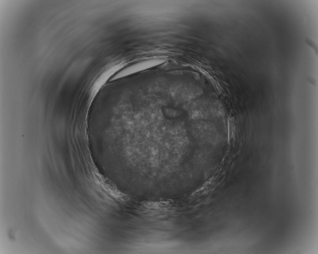 X0000100380147200806271342