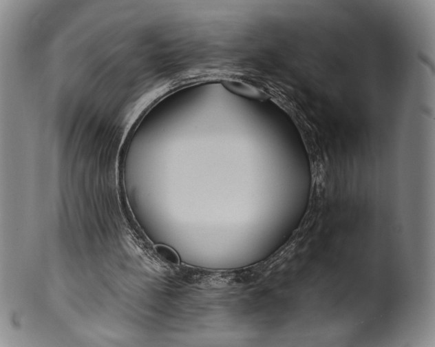 X0000100380148200806271342