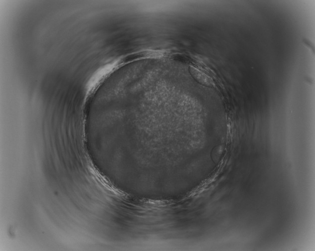 X0000100380149200806271342