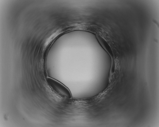 X0000100380150200806271342
