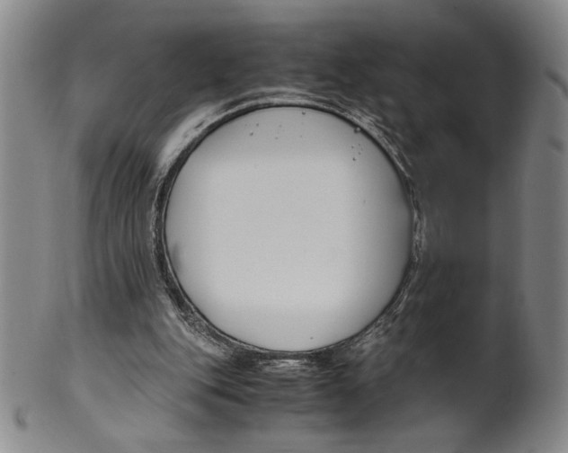 X0000100380151200806271342
