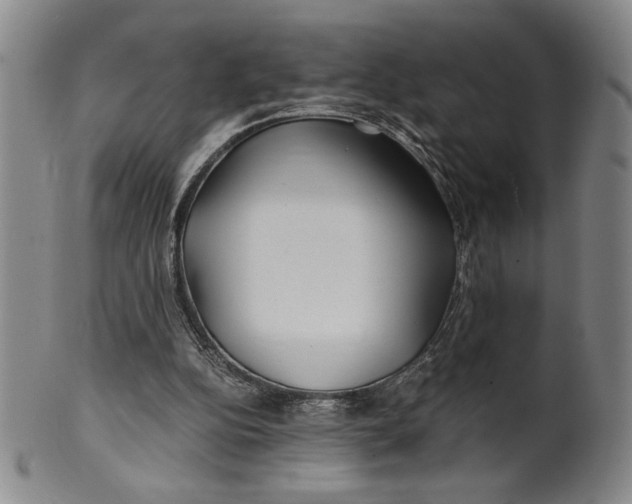 X0000100380152200806271342