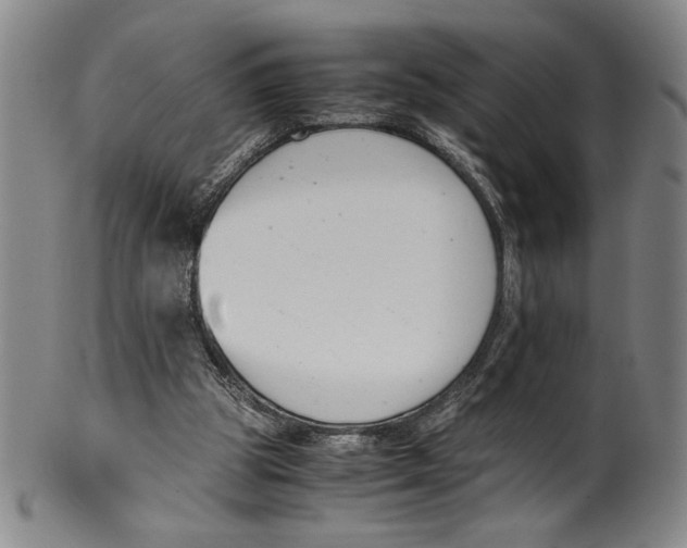 X0000100380153200806271342