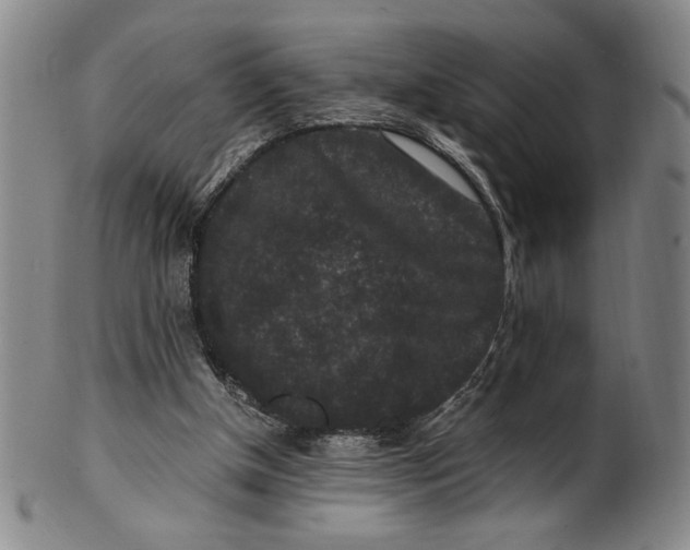 X0000100380154200806271342