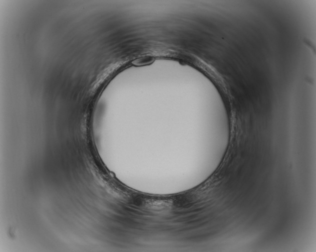 X0000100380155200806271342