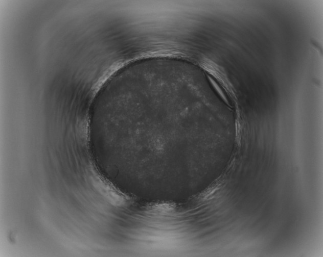 X0000100380156200806271342