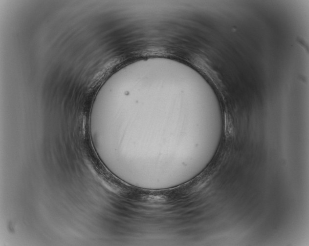 X0000100380157200806271342