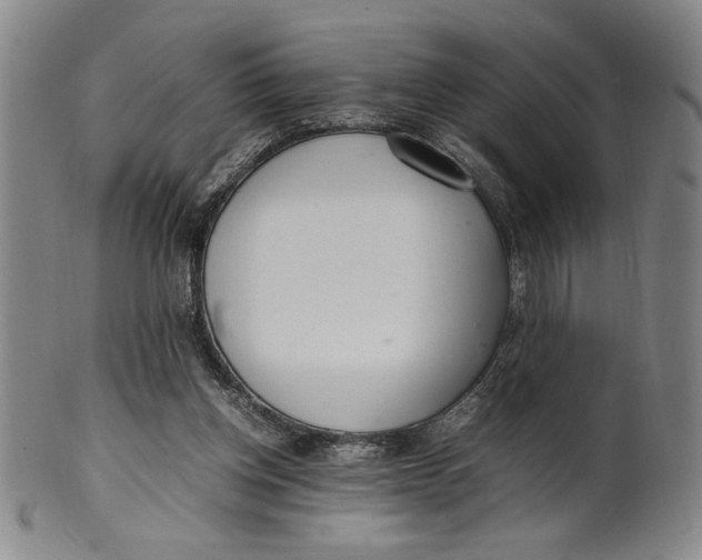 X0000100380158200806271342