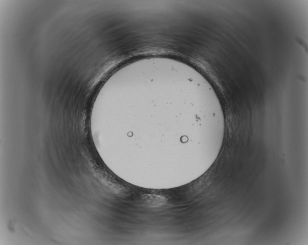 X0000100380159200806271342