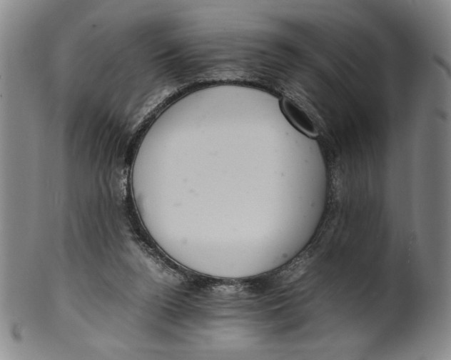 X0000100380160200806271342
