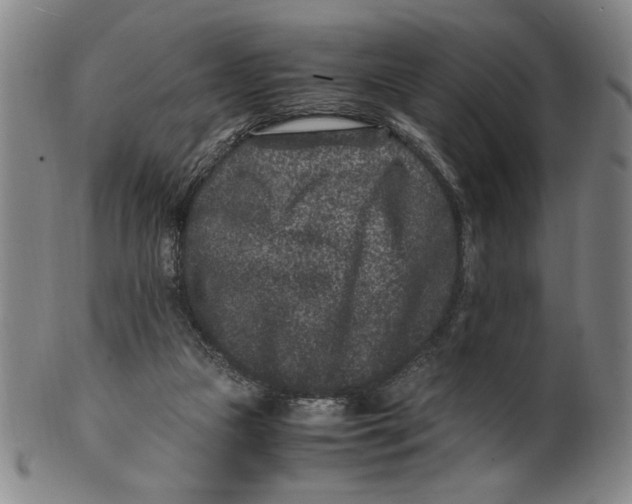 X0000100380161200806271342