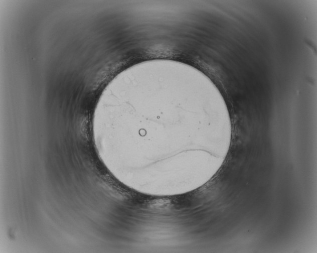 X0000100380162200806271342
