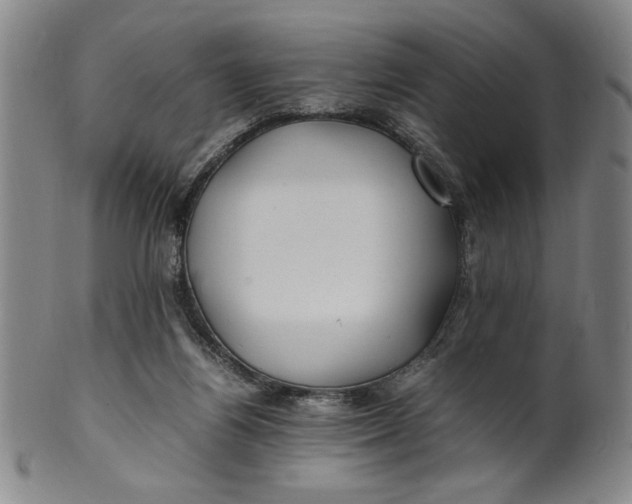 X0000100380164200806271342