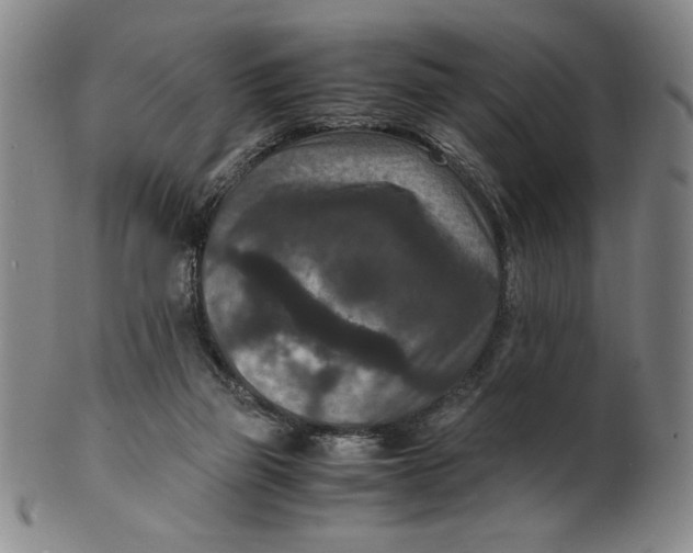 X0000100380165200806271342
