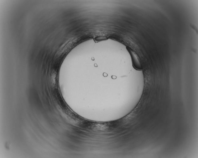X0000100380166200806271342