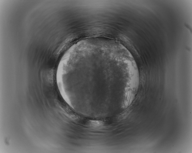 X0000100380167200806271342