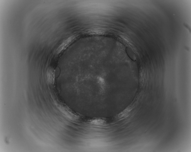 X0000100380168200806271342