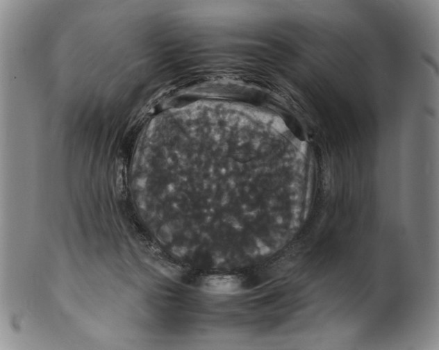 X0000100380169200806271342