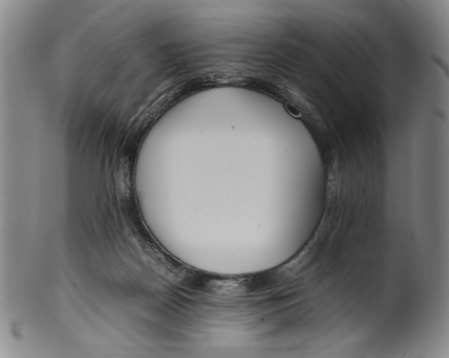 X0000100380170200806271342