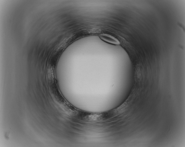 X0000100380172200806271342