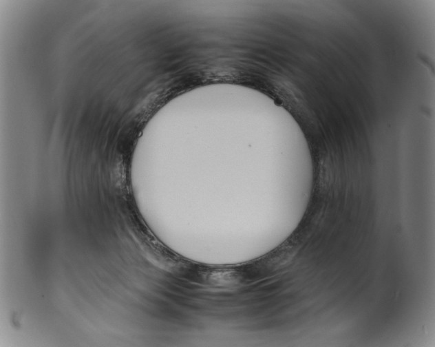 X0000100380173200806271342