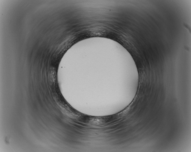 X0000100380174200806271342