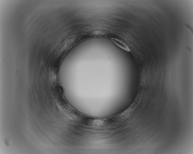 X0000100380176200806271343